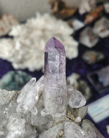 ic:This Vera Cruz Amethyst specimen shows the very evenly dispersed lilac coloration characteristic of this locality.