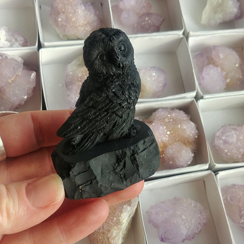 ic:Compressed Shungite carvings are made pulverized black shungite.  While they do virtually nothing for purification, they are typically mounted to raw shungite slabs which will do a fine job of EMF absorption.