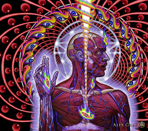 ic:Lateralus by Alex Grey