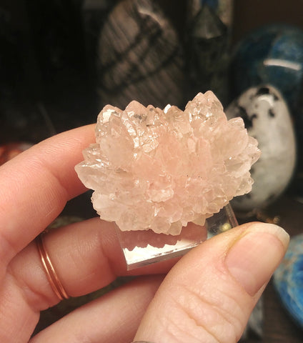 ic:This Pink Quartz specimen was amongst my favorites to photograph when I visited the collection of one of our Instagram followers @mrs_twigie 