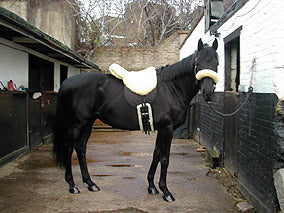 Horse Dream UK Bareback Riding Pad manufactured by Christ Lammfelle