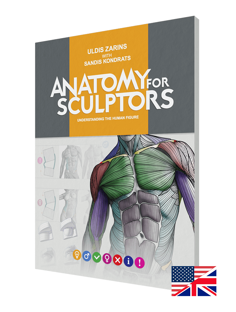 Anatomy For Sculptors: Understanding the Human Figure | Paperback