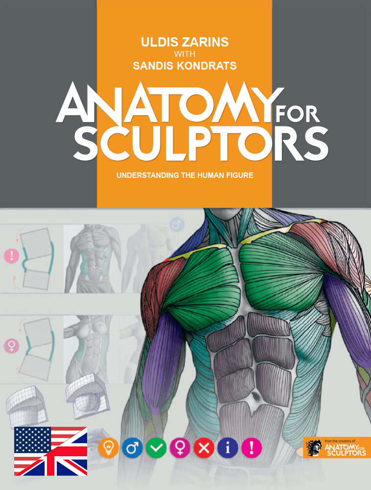 anatomy for sculptors understanding the human figure pdf