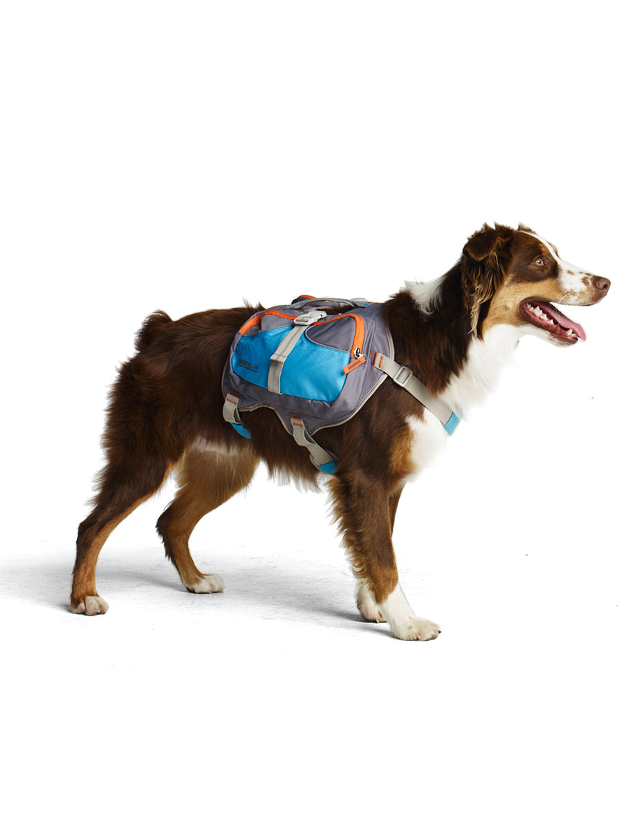 vroegrijp Conform klein Cesar Millan Dog Backpack | Best Dog Backpack for Hiking