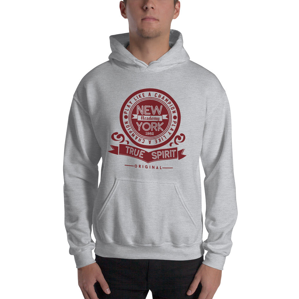 champion hoodie academy