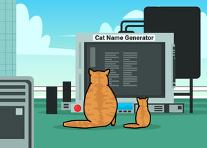 Cat name generator