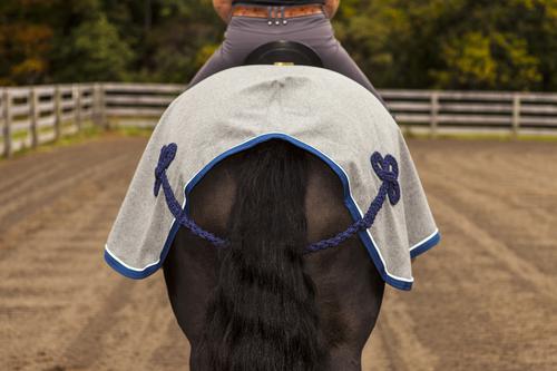 Clover Hip Ornament