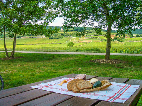 Cycle touring Picnic Burgundy ConnalKit