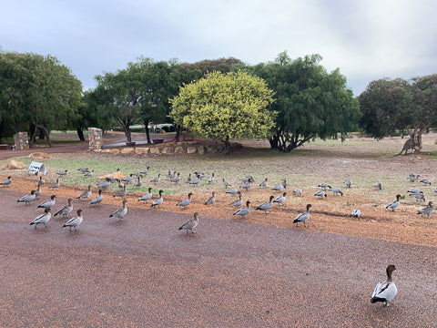 Dunsborough Cycling roads 