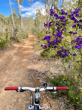 Cycling Trails Dunsborough Spring Wildflowers
