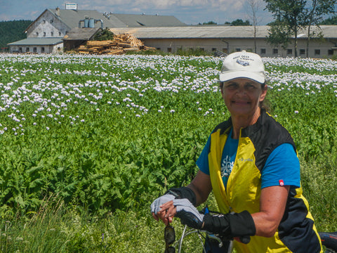 Cycling Tour Poppy farms Velesin Czech ConnalKit