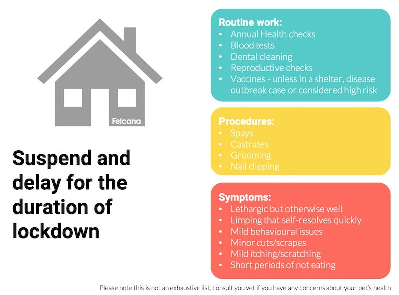 Delay vet appointment during lockdown if reasons involve routine tests, elective or aesthetic procedures, or minor symptoms.