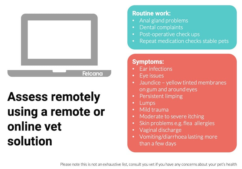 Use online vet chat telemedicine during lockdown for routine checkups, or moderate and persistent symptoms.