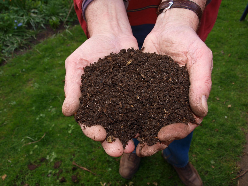 a man holding a pile of compost