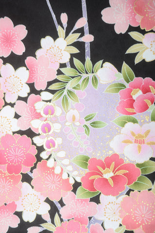 Long-sleeved kimono 6 items set / Furisode / FK#1-238