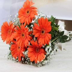 Gerberas Daises Flowers Online