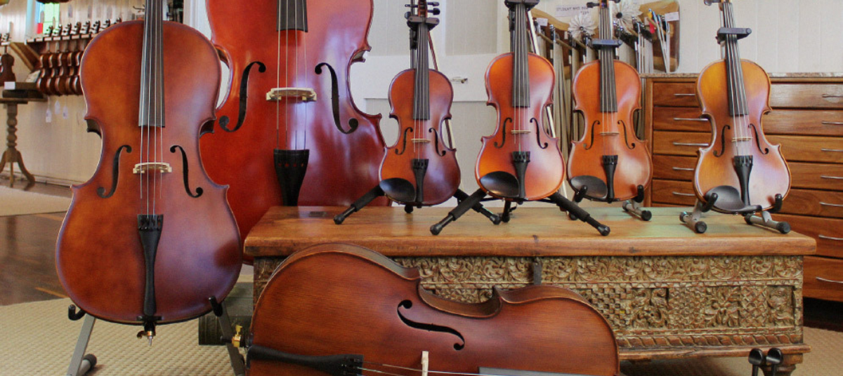 Lærd Tidligere kutter Violin, Viola, Cello and Double Bass - What's The Difference? – Simply for  Strings