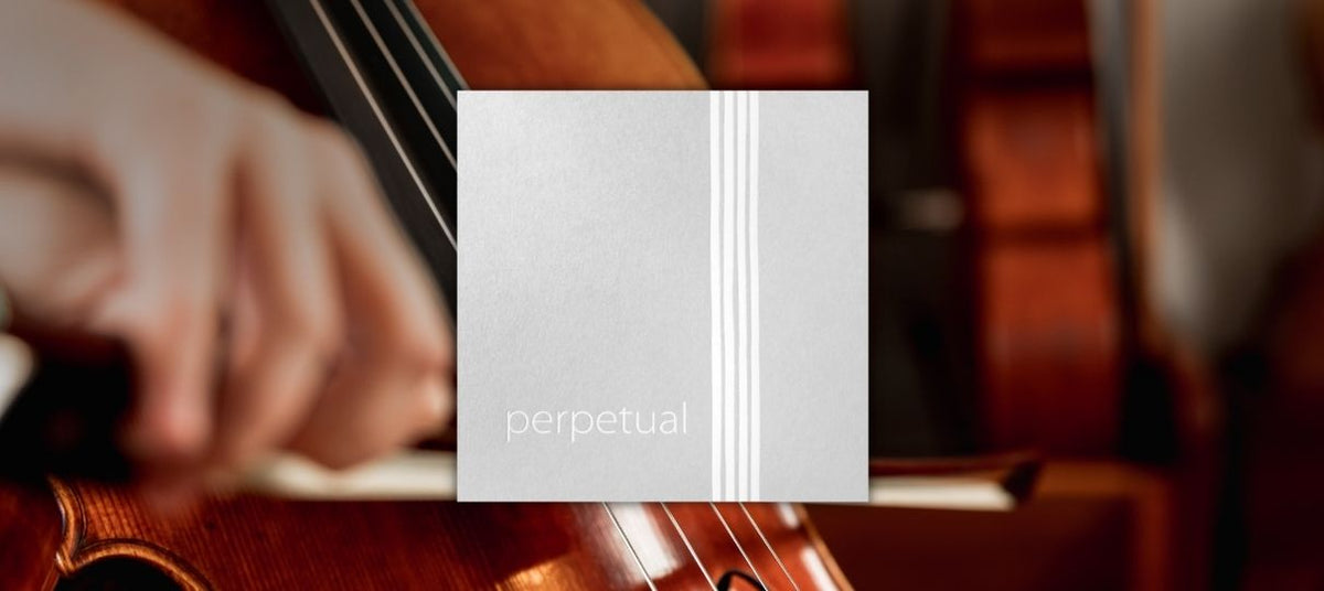 Pirastro Cello Perpetual Soloist C String 