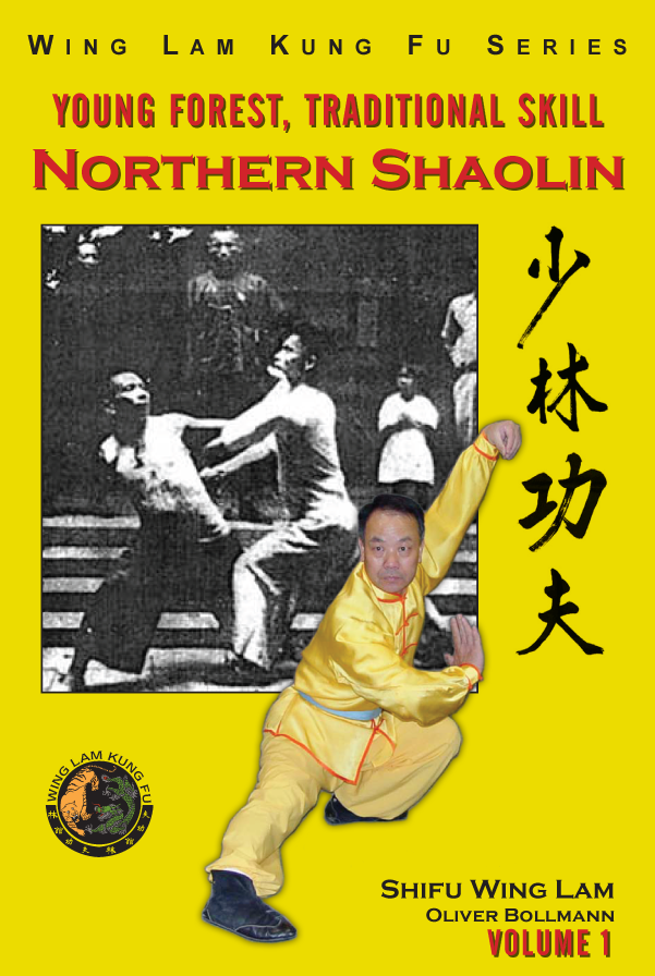 shaolin kung fu techniques