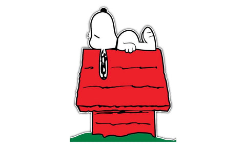 Snoopy on his dog house