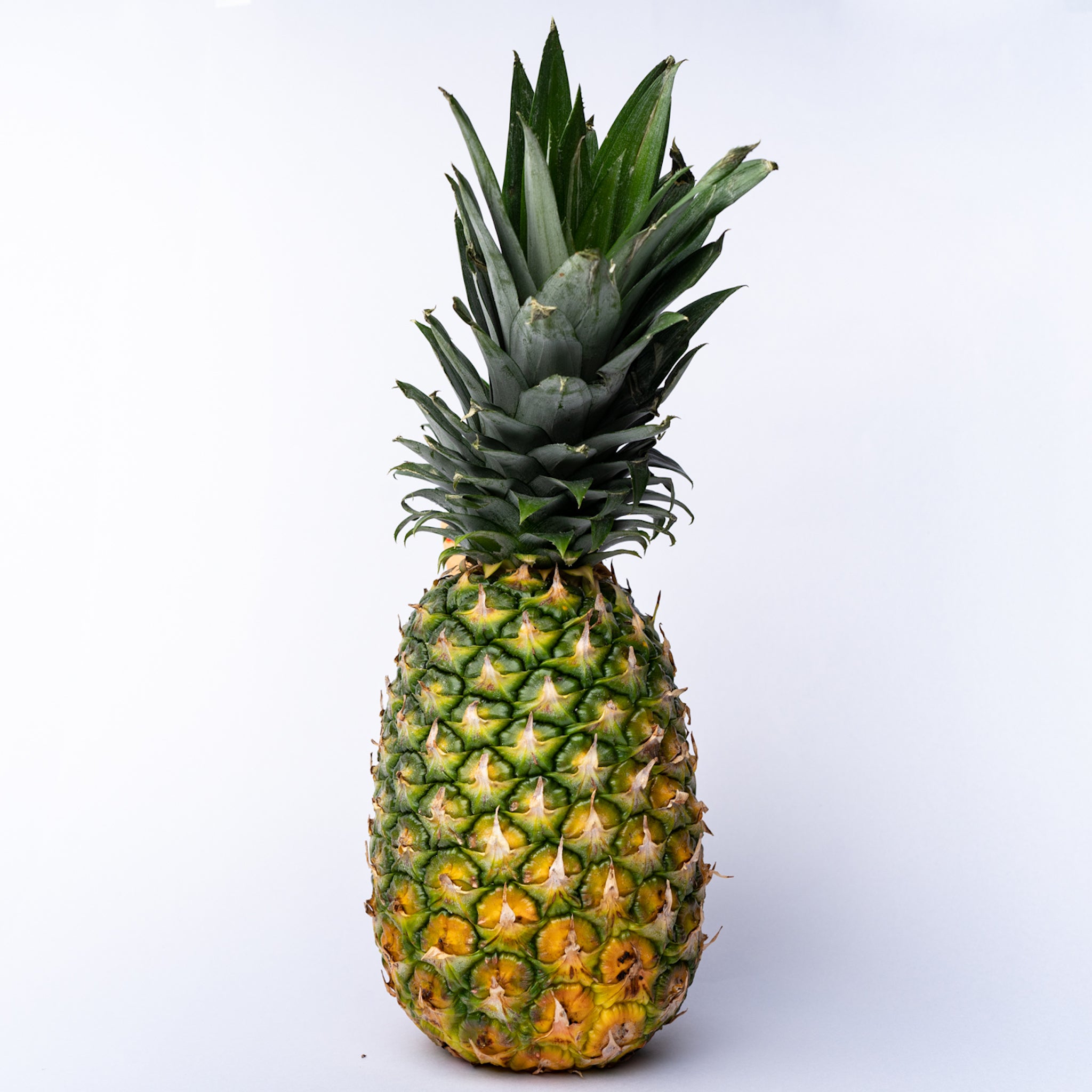 Pineapple (Large)