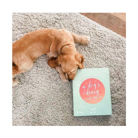 Hondendagboek