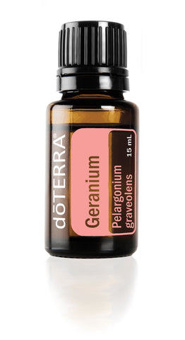 Geranium  Pelargonium graveolens