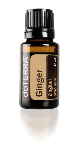 Ginger  Zingiber officinale