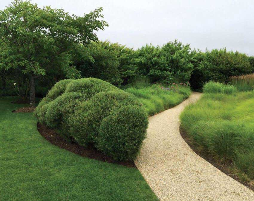 Controlled Garden Chaos, Netherlands