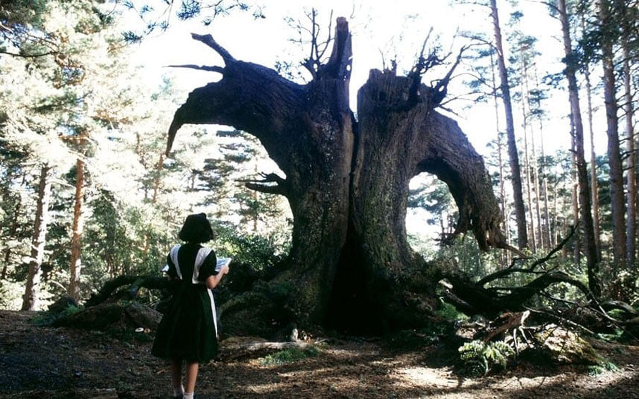 Pan's Labyrinth 2006