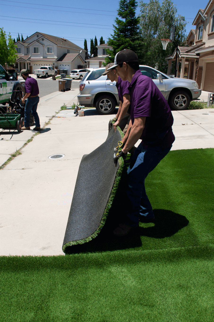 Concrete Step Two: Lay your Grass
