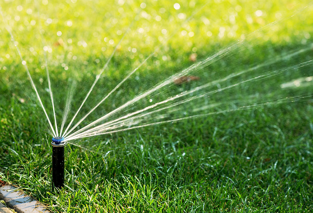 Water used on your lawn