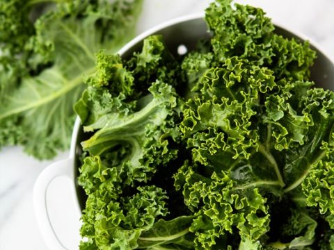 A plant-based diet for babies