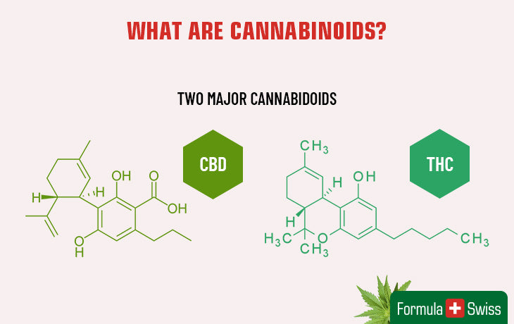 what are cannabinoids