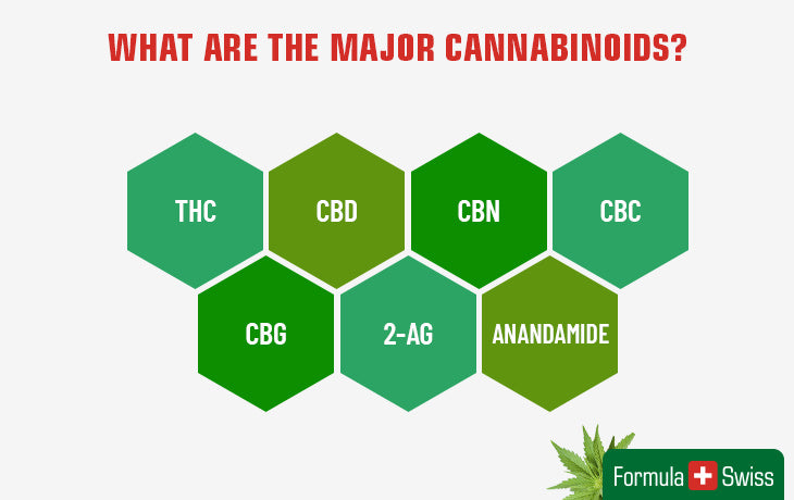 the major cannabinoids