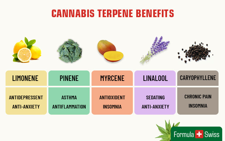 cannabis terpenes