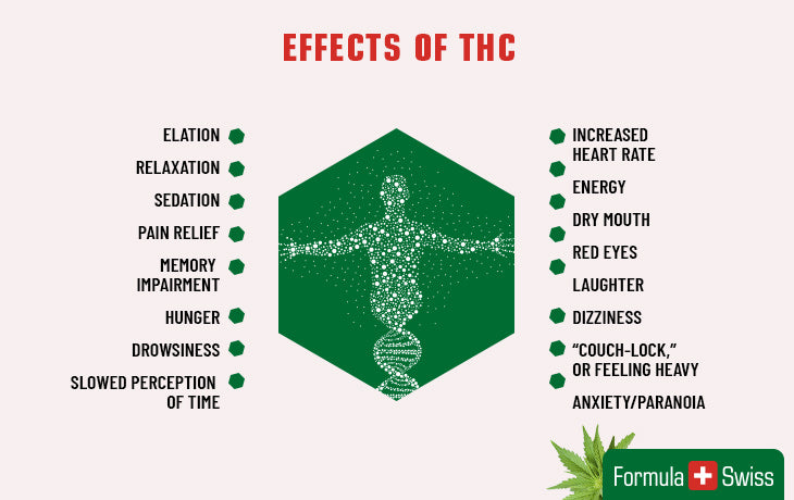 effects of THC