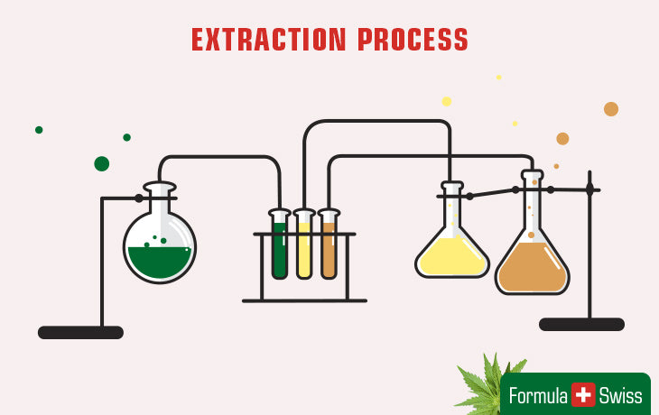 how is CBD extracted