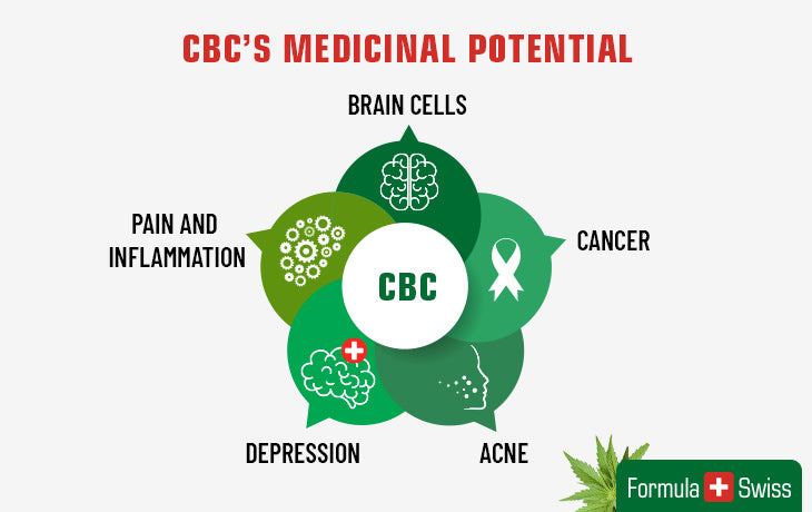 CBC’s medicinal potential