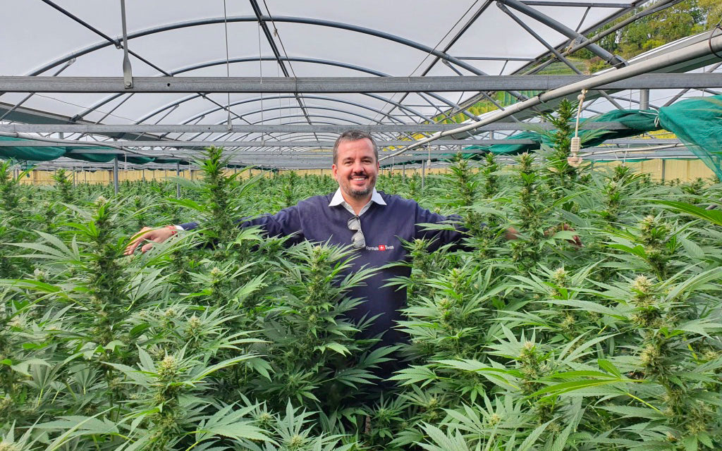 A very happy CEO inspecting the production of V1 hemp plants