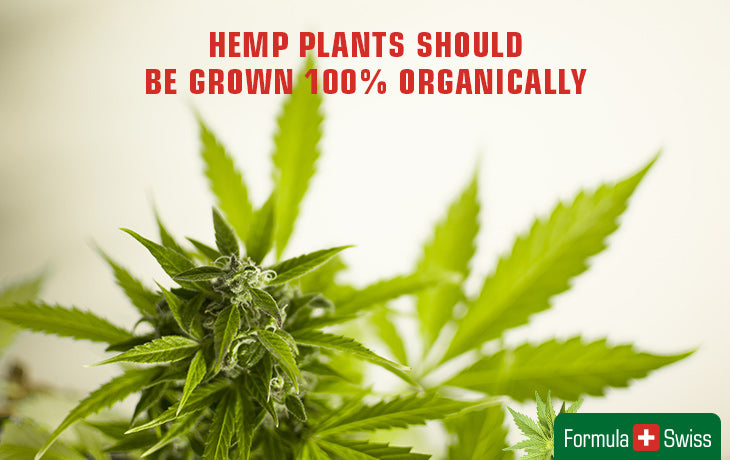 100% organic grown hemp