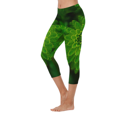 fancy capri leggings