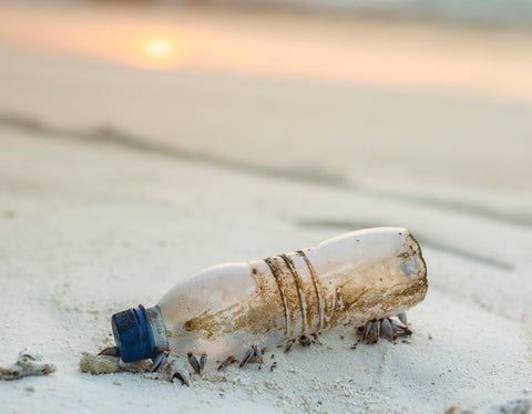 plastic bottle pollution