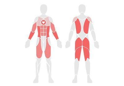 multi-trainer workout active mode with heart rate and exercise tracking