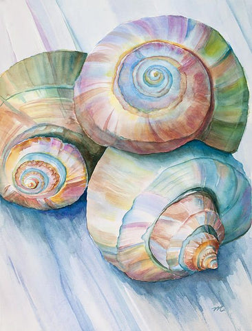 Shell Painting With Water Colors