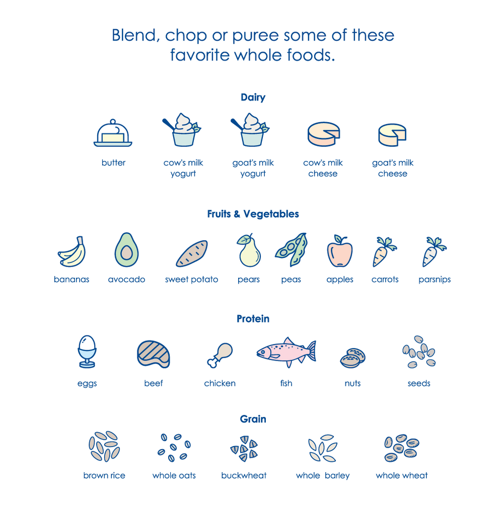 Examples of dairy, fruits and vegetables, protein and grains whole food options