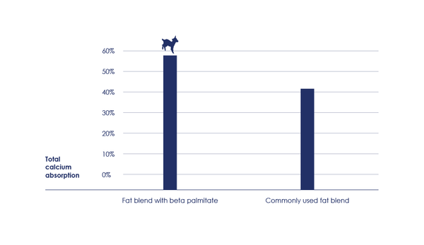 Total calcium absorption of fat blend with beta palmitate is higher vs commonly used fat blends