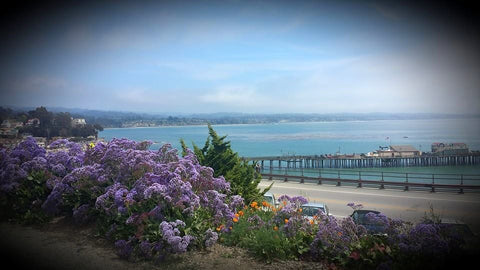 Capitola, California