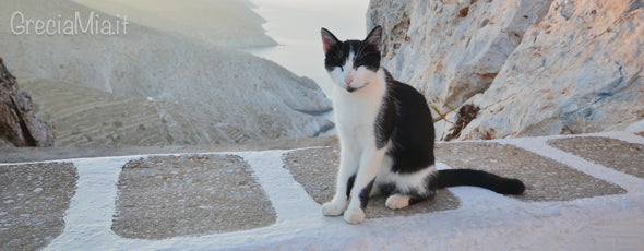 panorama da Chora Folegandros