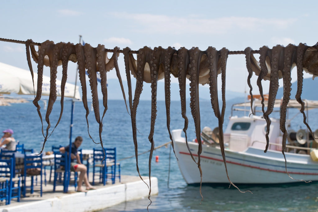 dove mangiare pesce a Pelion Grecia